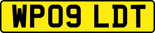 WP09LDT