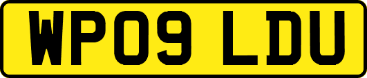 WP09LDU