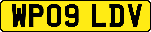 WP09LDV