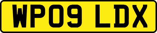WP09LDX