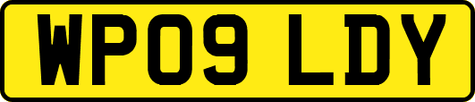 WP09LDY