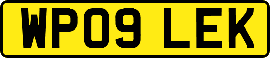 WP09LEK