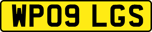 WP09LGS