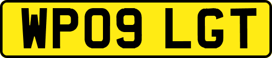 WP09LGT