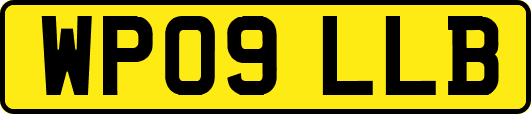 WP09LLB