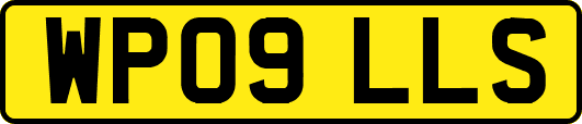 WP09LLS