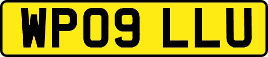 WP09LLU