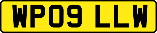 WP09LLW