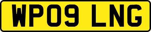 WP09LNG