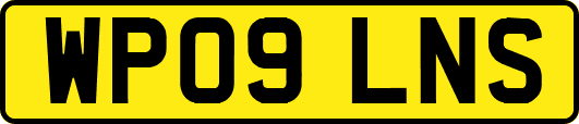 WP09LNS