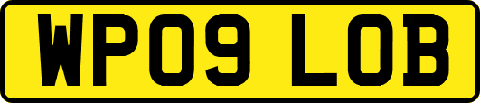 WP09LOB