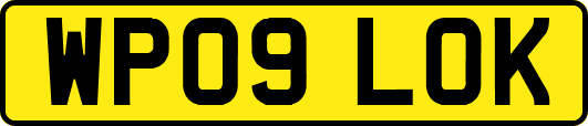 WP09LOK