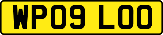 WP09LOO