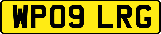 WP09LRG