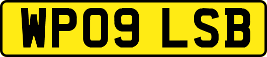 WP09LSB