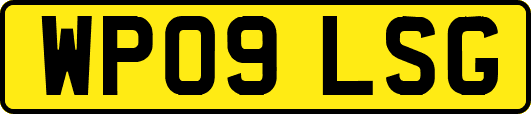 WP09LSG