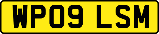 WP09LSM