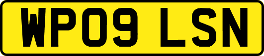 WP09LSN