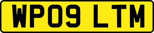 WP09LTM