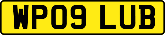 WP09LUB