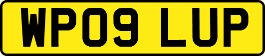 WP09LUP