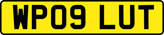 WP09LUT