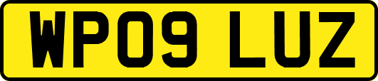 WP09LUZ