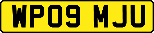 WP09MJU