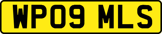WP09MLS