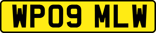 WP09MLW