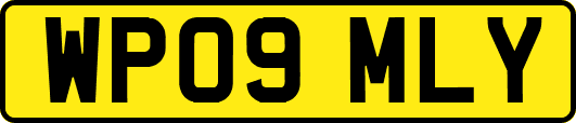 WP09MLY
