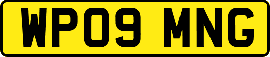 WP09MNG