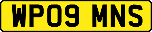 WP09MNS