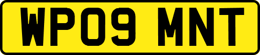 WP09MNT