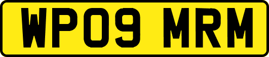 WP09MRM