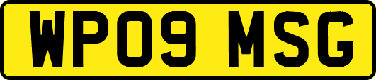 WP09MSG