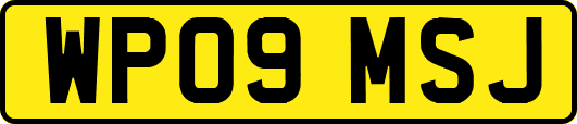 WP09MSJ