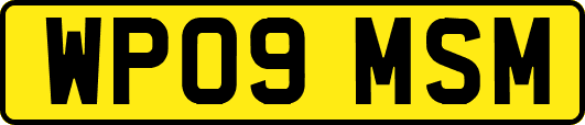 WP09MSM