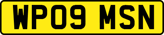 WP09MSN