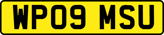 WP09MSU