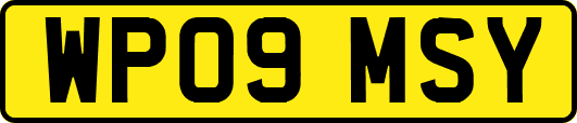 WP09MSY