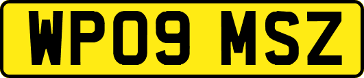 WP09MSZ