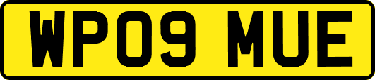 WP09MUE
