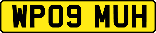 WP09MUH