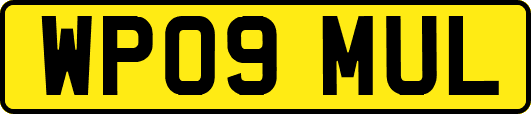 WP09MUL
