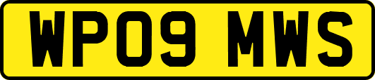 WP09MWS