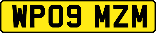 WP09MZM