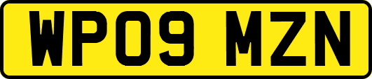 WP09MZN