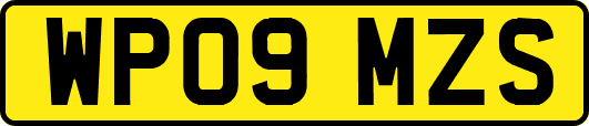 WP09MZS