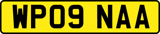 WP09NAA